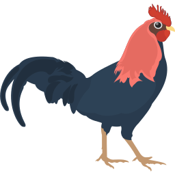 SABUNG AYAM
